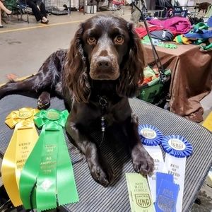 Meet your Posher, Beth